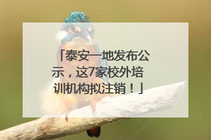 泰安一地发布公示，这7家校外培训机构拟注销！