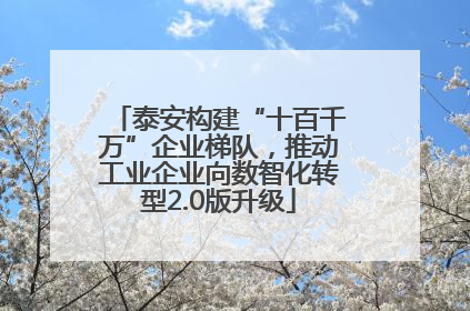 泰安构建“十百千万”企业梯队，推动工业企业向数智化转型2.0版升级
