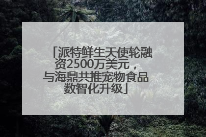 派特鲜生天使轮融资2500万美元，与海鼎共推宠物食品数智化升级