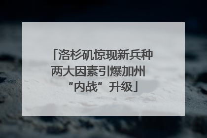 洛杉矶惊现新兵种 两大因素引爆加州“内战”升级