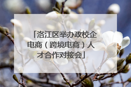 洛江区举办政校企电商（跨境电商）人才合作对接会