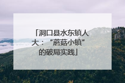 洞口县水东镇人大：“蘑菇小镇”的破局实践