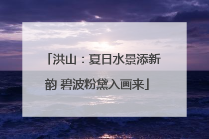 洪山：夏日水景添新韵 碧波粉黛入画来