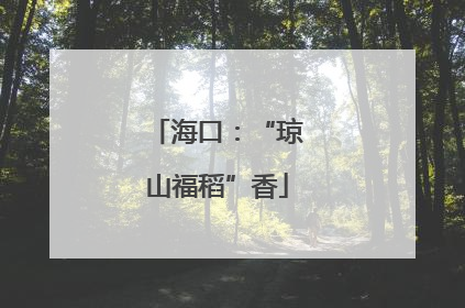 海口：“琼山福稻”香