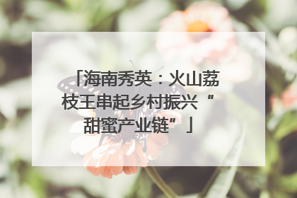 海南秀英：火山荔枝王串起乡村振兴“甜蜜产业链”