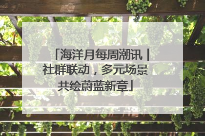 海洋月每周潮讯｜社群联动，多元场景共绘蔚蓝新章