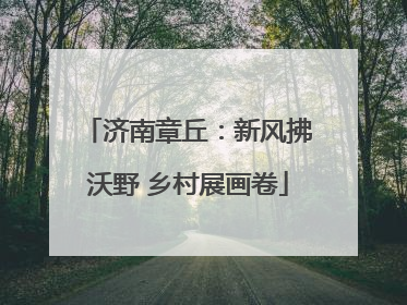 济南章丘：新风拂沃野 乡村展画卷