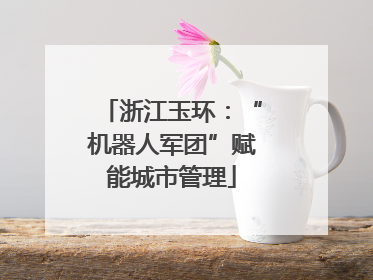 浙江玉环：“机器人军团”赋能城市管理