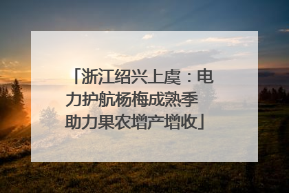 浙江绍兴上虞：电力护航杨梅成熟季 助力果农增产增收