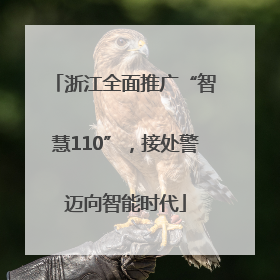 浙江全面推广“智慧110”，接处警迈向智能时代