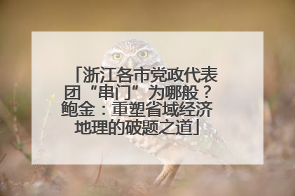 浙江各市党政代表团“串门”为哪般？鲍金：重塑省域经济地理的破题之道