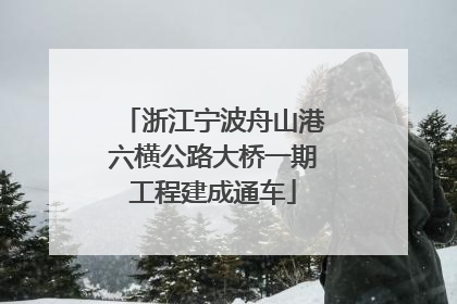 浙江宁波舟山港六横公路大桥一期工程建成通车