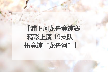 浦下河龙舟竞速赛精彩上演 19支队伍竞速“龙舟河”