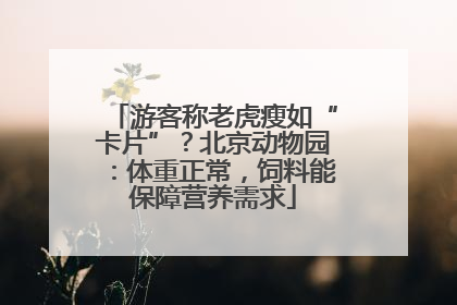 游客称老虎瘦如“卡片”？北京动物园：体重正常，饲料能保障营养需求