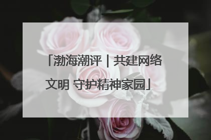 渤海潮评｜共建网络文明 守护精神家园