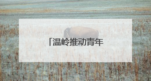 温岭推动青年干部下沉一线