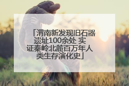 渭南新发现旧石器遗址100余处 实证秦岭北麓百万年人类生存演化史