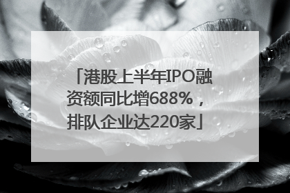 港股上半年IPO融资额同比增688%，排队企业达220家