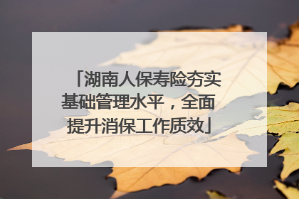 湖南人保寿险夯实基础管理水平，全面提升消保工作质效