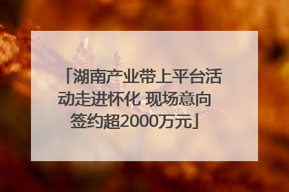 湖南产业带上平台活动走进怀化 现场意向签约超2000万元