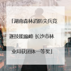 湖南森林消防尖兵竞逐技能巅峰 长沙市林业局获团体一等奖