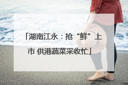 湖南江永：抢“鲜”上市 供港蔬菜采收忙