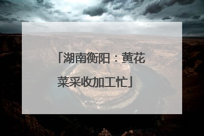 湖南衡阳：黄花菜采收加工忙