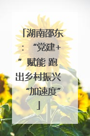 湖南邵东：“党建+”赋能 跑出乡村振兴“加速度”