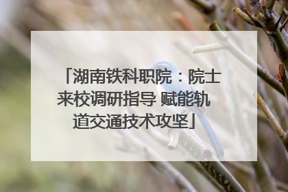 湖南铁科职院：院士来校调研指导 赋能轨道交通技术攻坚
