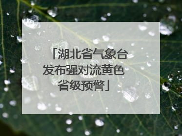 湖北省气象台发布强对流黄色省级预警