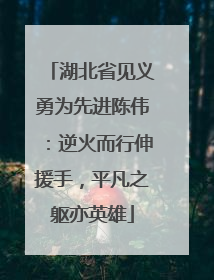 湖北省见义勇为先进陈伟：逆火而行伸援手，平凡之躯亦英雄