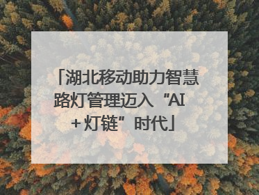 湖北移动助力智慧路灯管理迈入“AI＋灯链”时代