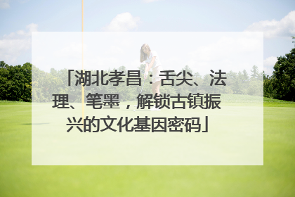 湖北孝昌：舌尖、法理、笔墨，解锁古镇振兴的文化基因密码