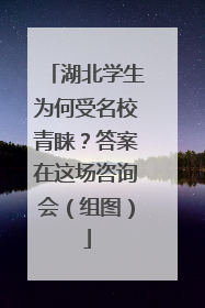 湖北学生为何受名校青睐？答案在这场咨询会（组图）