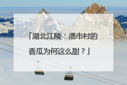 湖北江陵：潘市村的香瓜为何这么甜？