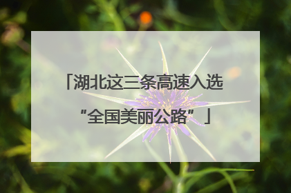湖北这三条高速入选“全国美丽公路”