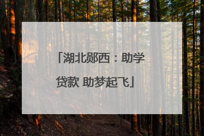 湖北郧西：助学贷款 助梦起飞