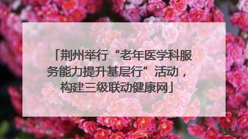 荆州举行“老年医学科服务能力提升基层行”活动，构建三级联动健康网