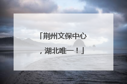荆州文保中心，湖北唯一！