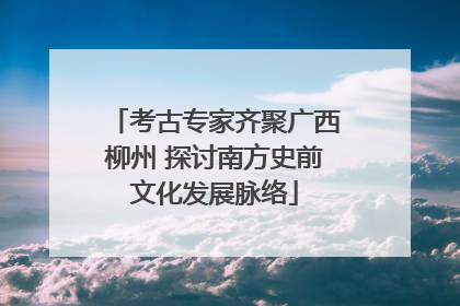 考古专家齐聚广西柳州 探讨南方史前文化发展脉络