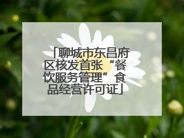 聊城市东昌府区核发首张“餐饮服务管理”食品经营许可证