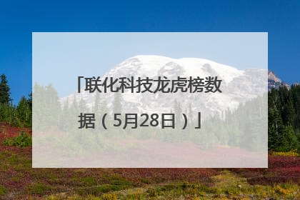 联化科技龙虎榜数据（5月28日）