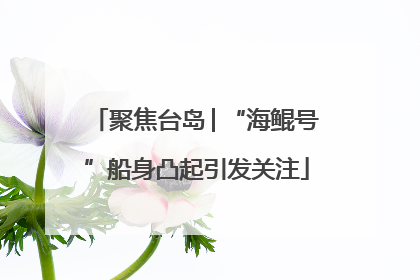 聚焦台岛│“海鲲号”船身凸起引发关注