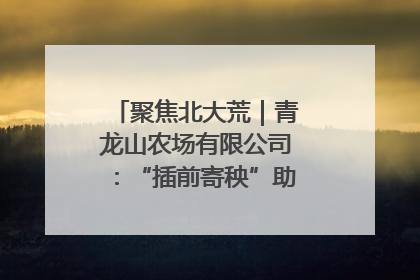 聚焦北大荒｜青龙山农场有限公司：“插前寄秧”助力农业节本增效