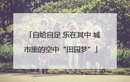 自给自足 乐在其中 城市里的空中“田园梦”