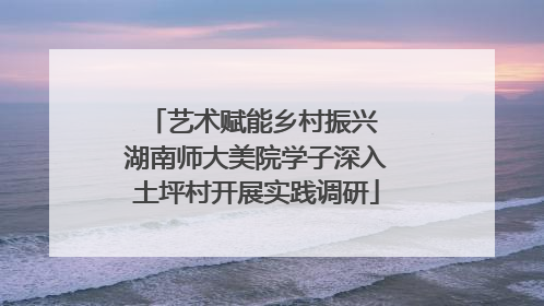 艺术赋能乡村振兴 湖南师大美院学子深入土坪村开展实践调研
