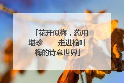 花开似梅，药用堪珍——走进榆叶梅的诗意世界