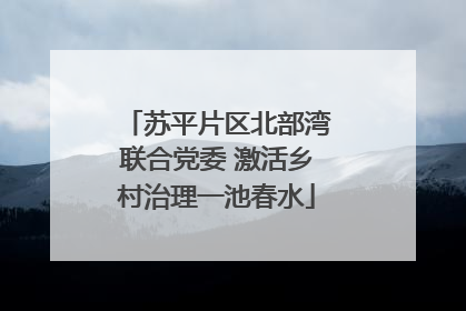 苏平片区北部湾联合党委 激活乡村治理一池春水