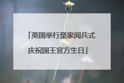 英国举行皇家阅兵式庆祝国王官方生日