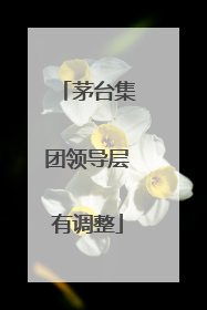 茅台集团领导层有调整